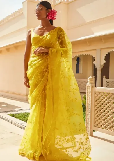 Picture of Designer Net Saree
